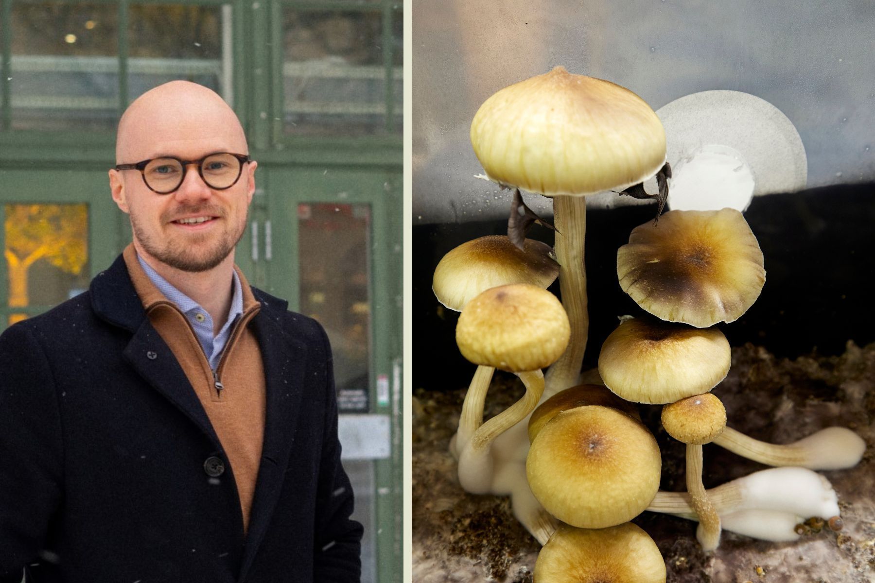 Marcus Stråth, Norrsken Mind. Foto: pressbild / TT.