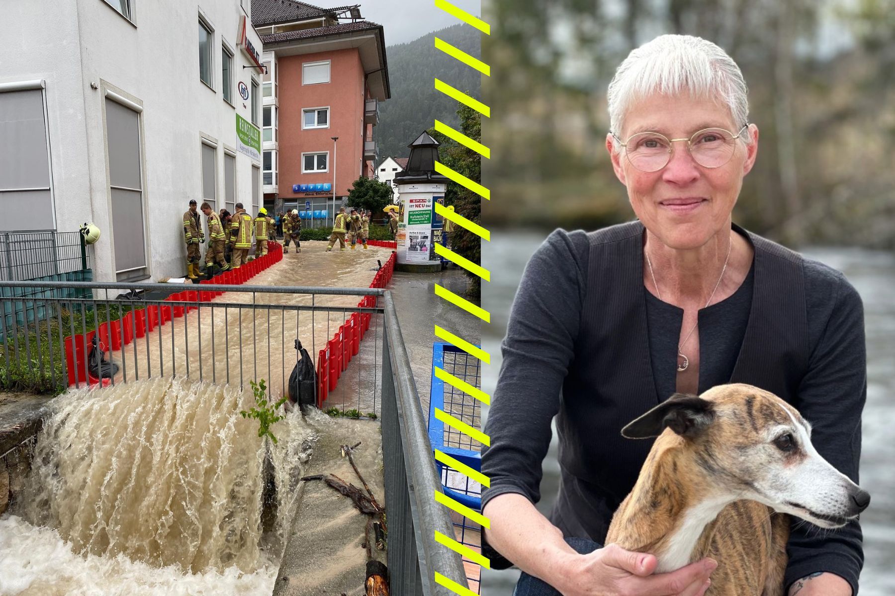 Ann Blanche-Sahlqvist, ekonomichef på Noaq. Foto: Pressbilder
