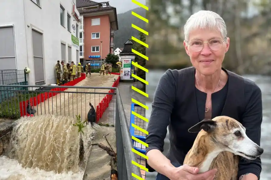 Ann Blanche-Sahlqvist, ekonomichef på Noaq. Foto: Pressbilder