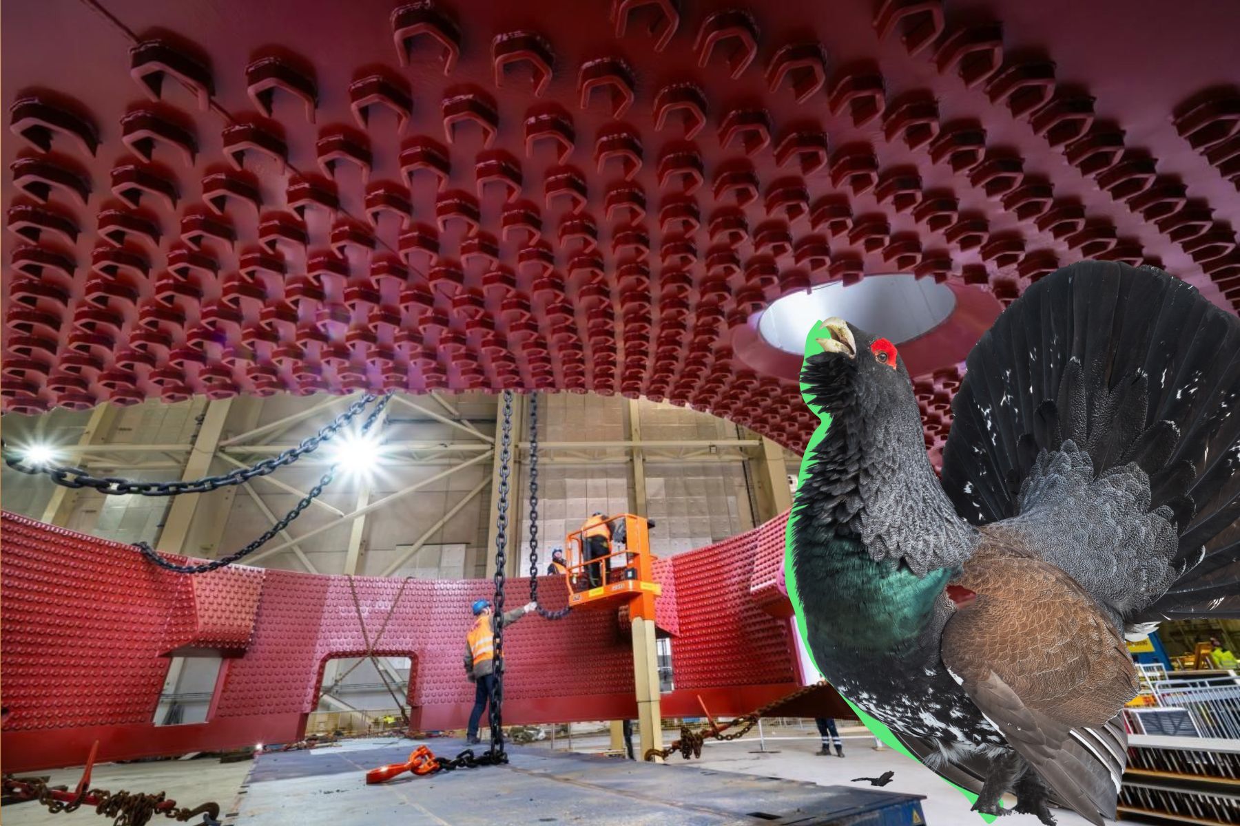 SSABs nya ljusbågsugn försenas på grund av överklagande för artskydd. Foto: Pressbild.
