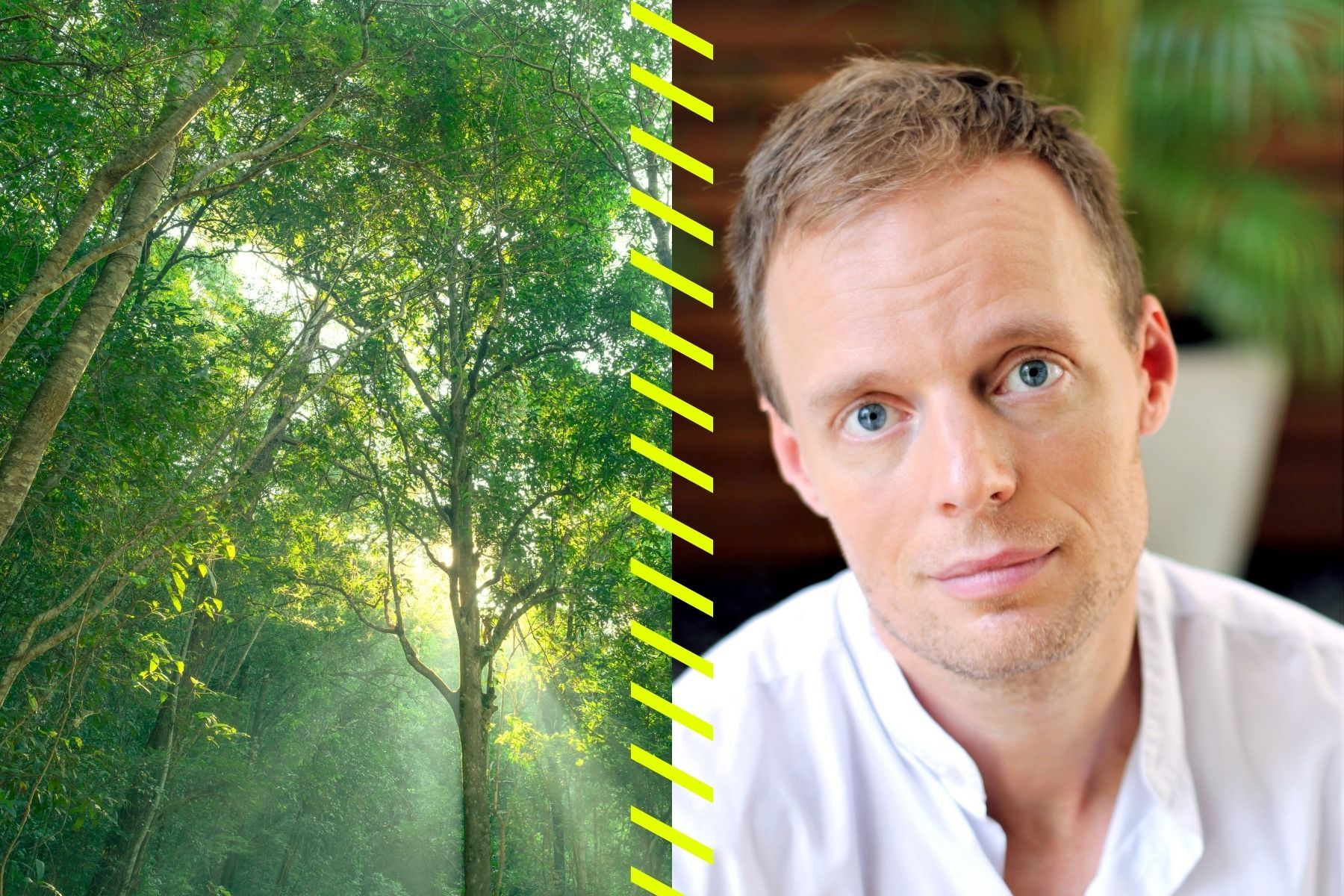 Robert Höglund, rådgivare inom koldioxidinfångning. Foto: Pressbild.