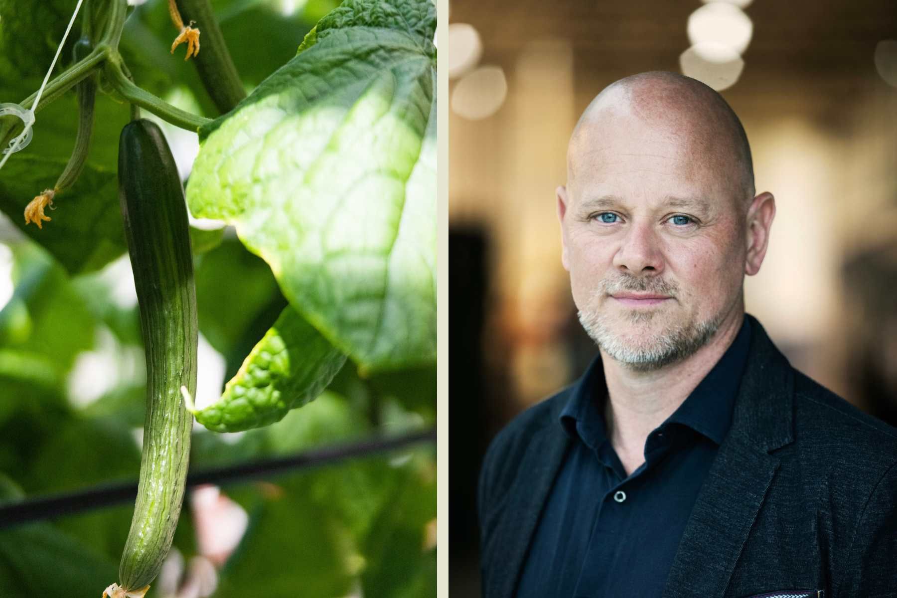 Erik Jonuks, vd för Agtira. Foto: Frida Sjögren.