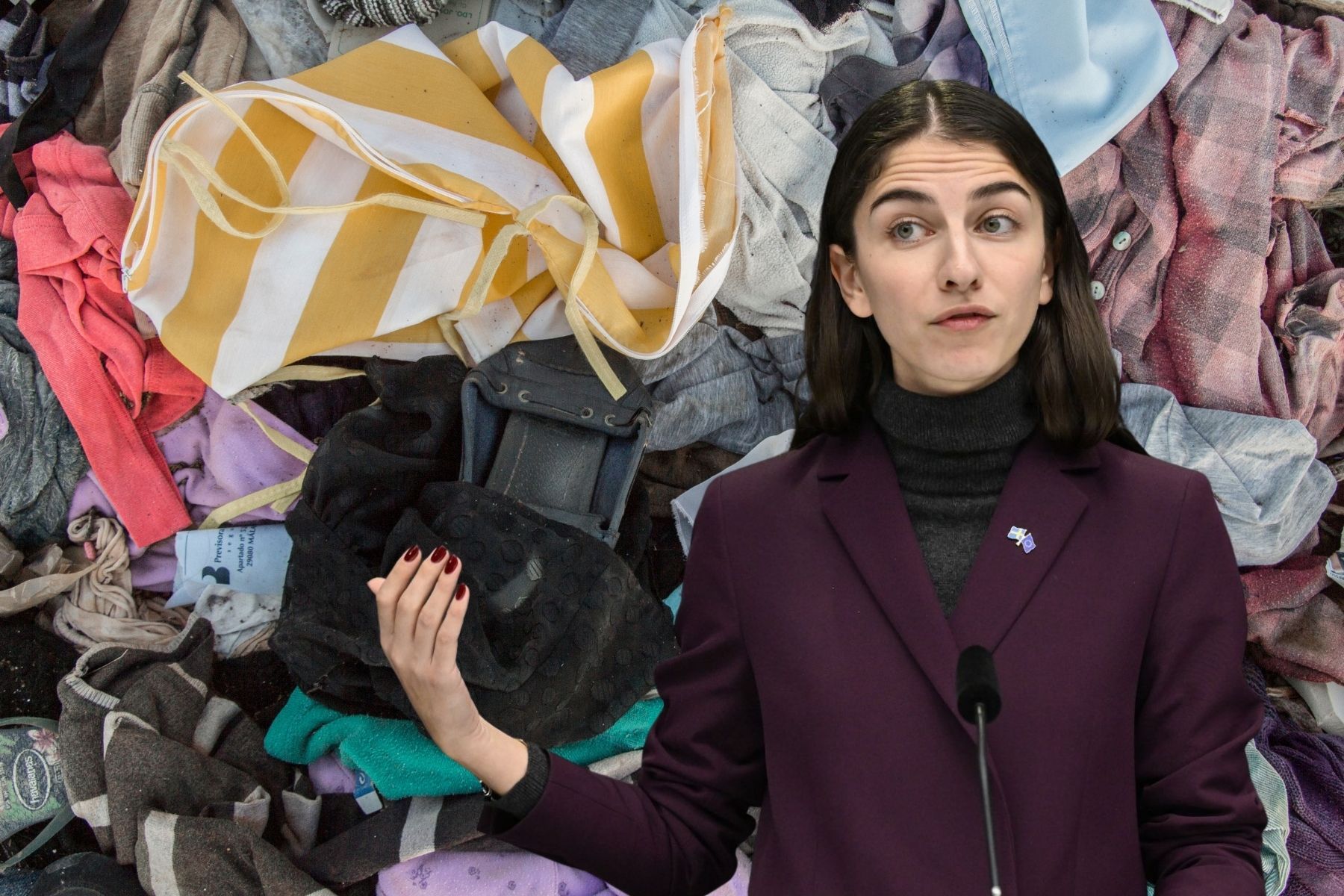 Klimat- och miljöminister Romina Pourmokhtari (L). Foto: TT/Canva. Montage: Impact Loop.