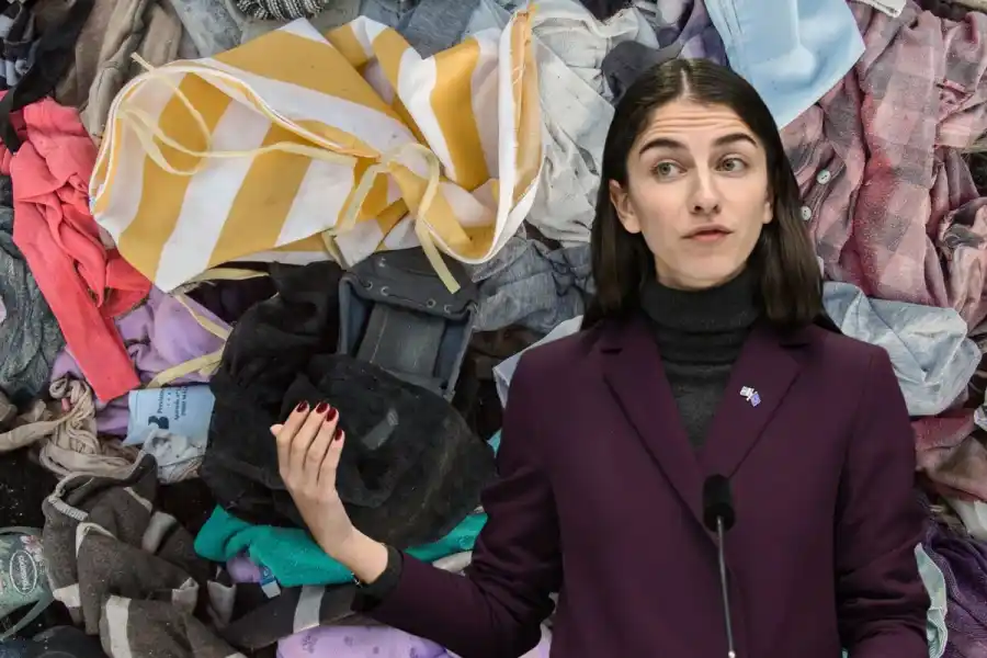 Klimat- och miljöminister Romina Pourmokhtari (L). Foto: TT/Canva. Montage: Impact Loop.