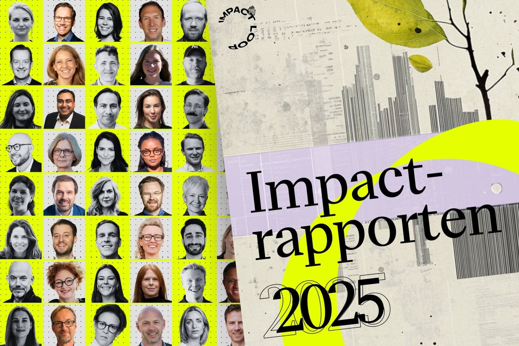 Impact-rapporten 2025 där Impact Loop gått igenom över 1 000 bolag. Grafik: Impact Loop.