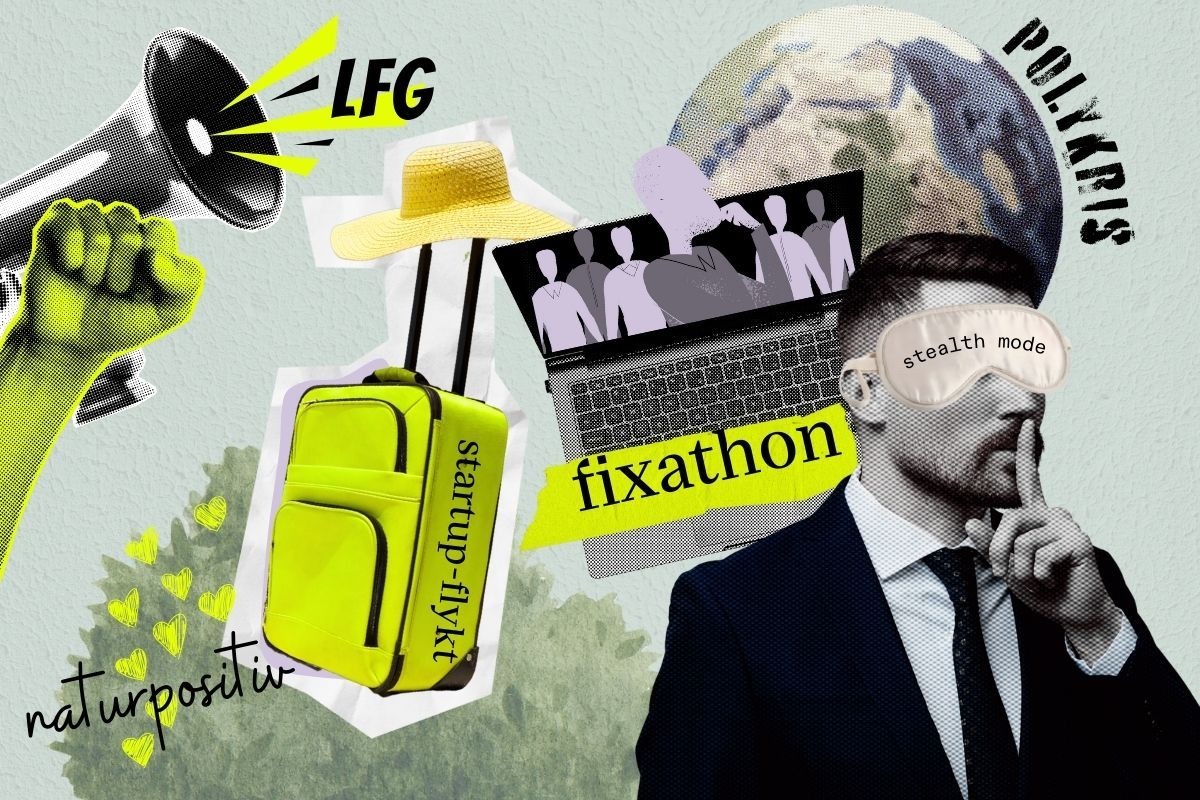 Fattar du impact-lingon? Illustration: Diana Demin.