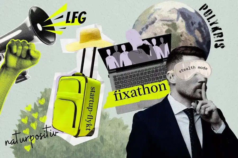 Fattar du impact-lingon? Illustration: Diana Demin.