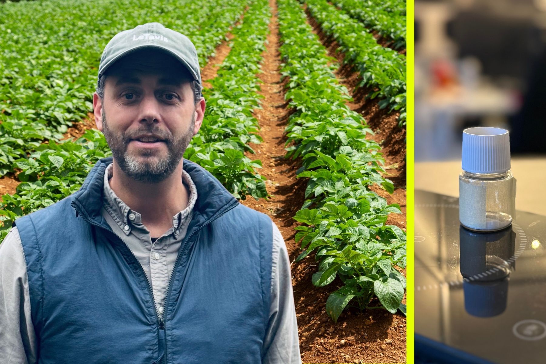 Gustav Nadal, medgrundare av Letavis. Till höger produkten: Amoravis. Pressbilder / Canva (montage).