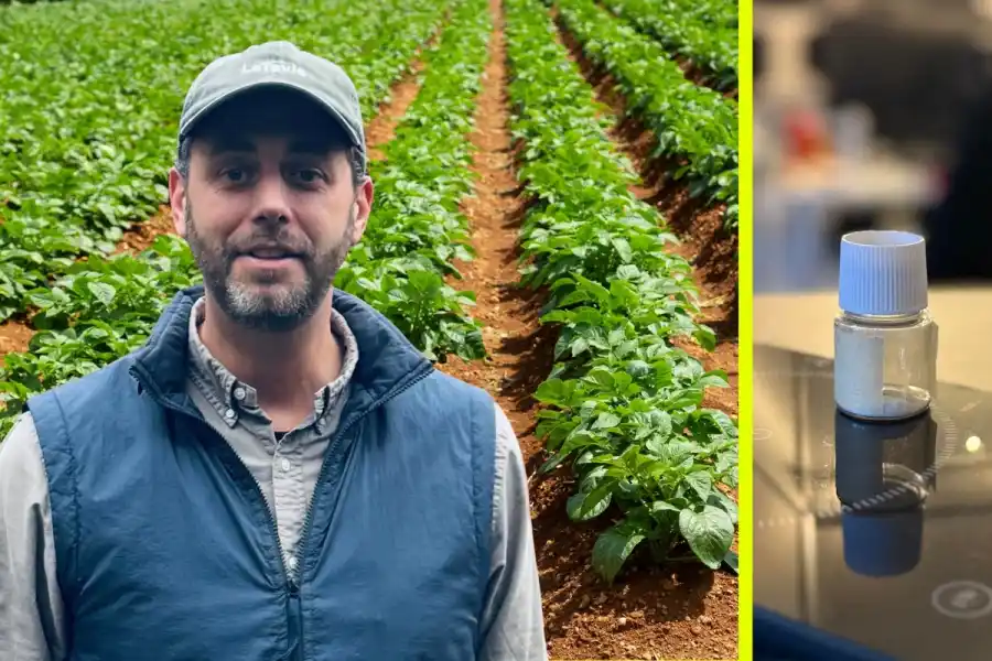 Gustav Nadal, medgrundare av Letavis. Till höger produkten: Amoravis. Pressbilder / Canva (montage).