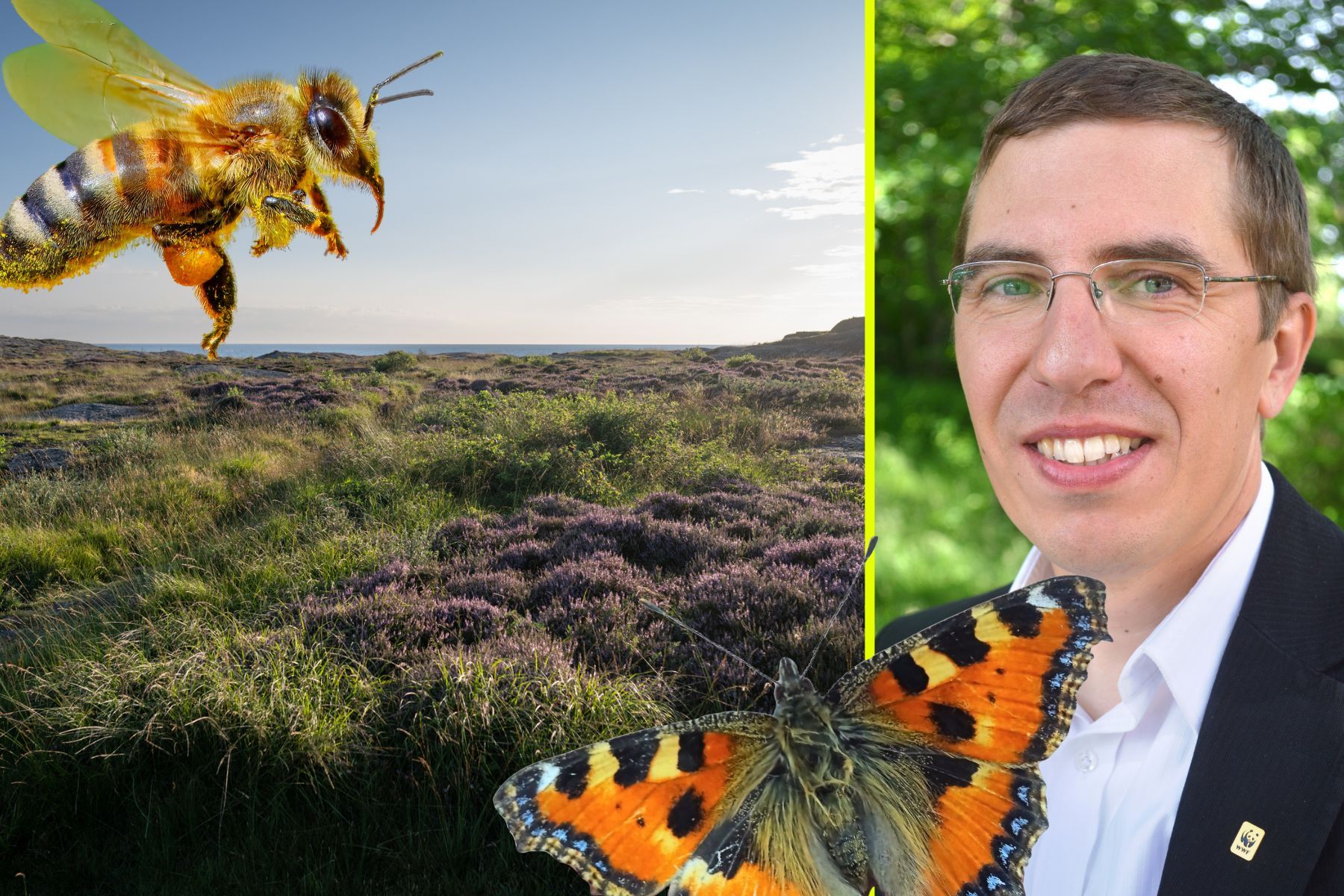 Jan Wärnbäck på Naturvårdsverket. Foto: Pressbilder / Canva (montage).