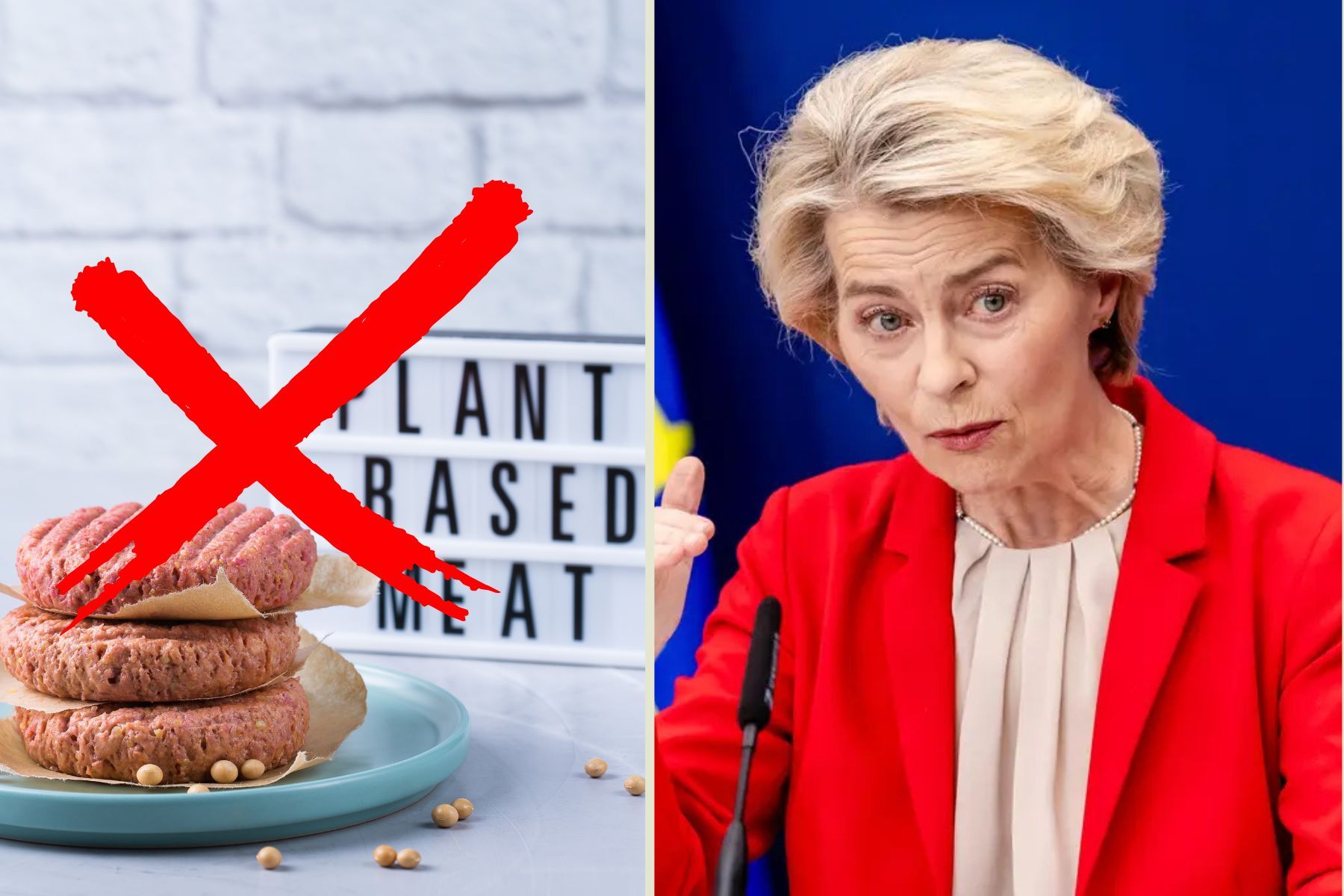 EU-kommissionens ordförande Ursula von der Leyen. Foto: Canva och TT.