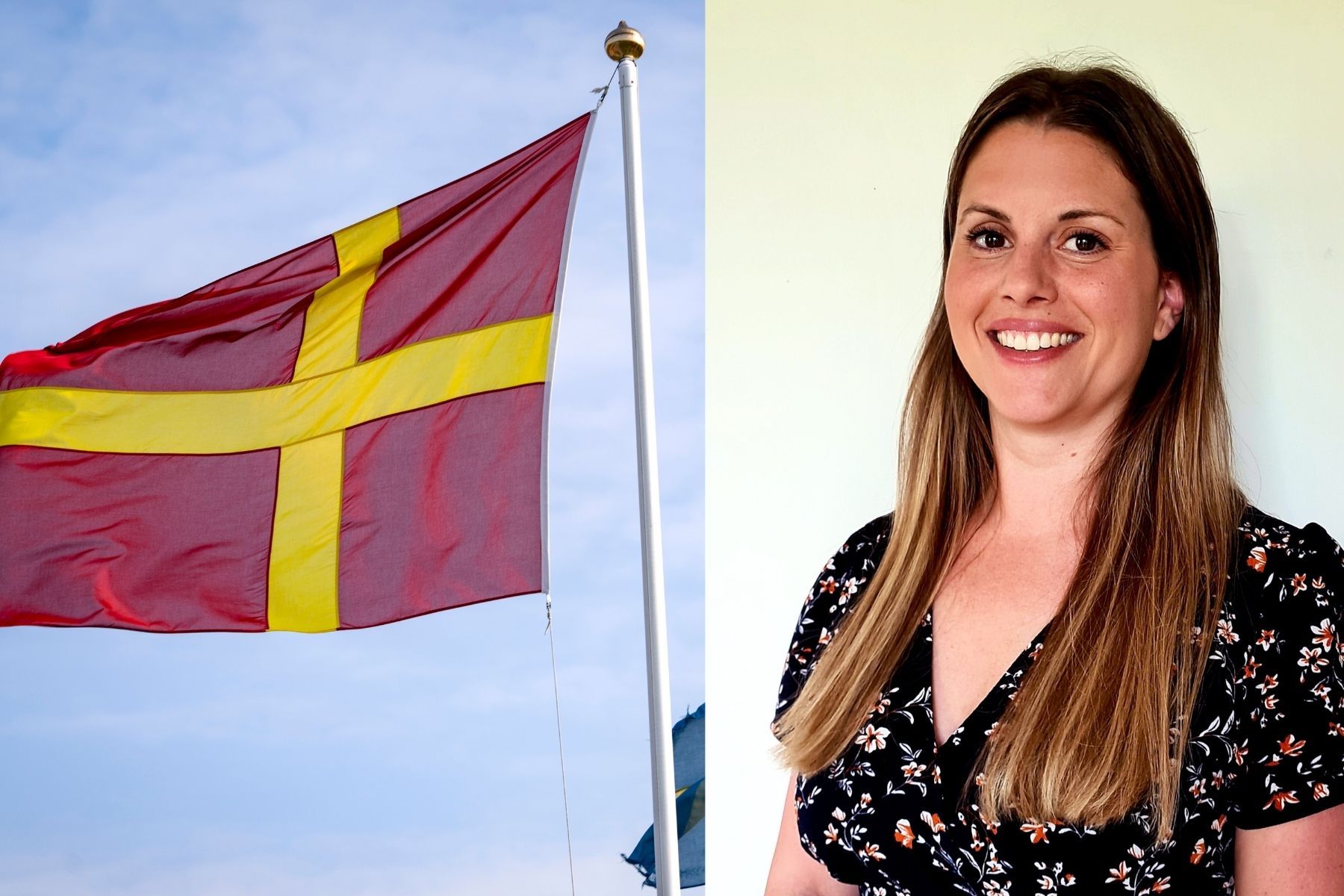 Patricia Håkansson, Sparbanken Skåne. Foto: TT/Pressbild. Collage.