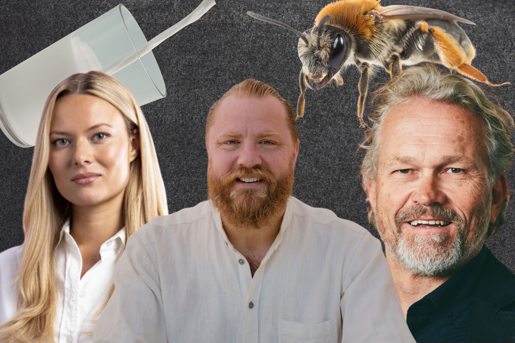 Några av personerna bakom bolagen som fått i konkurs. Foto. pressbilder / Canva.