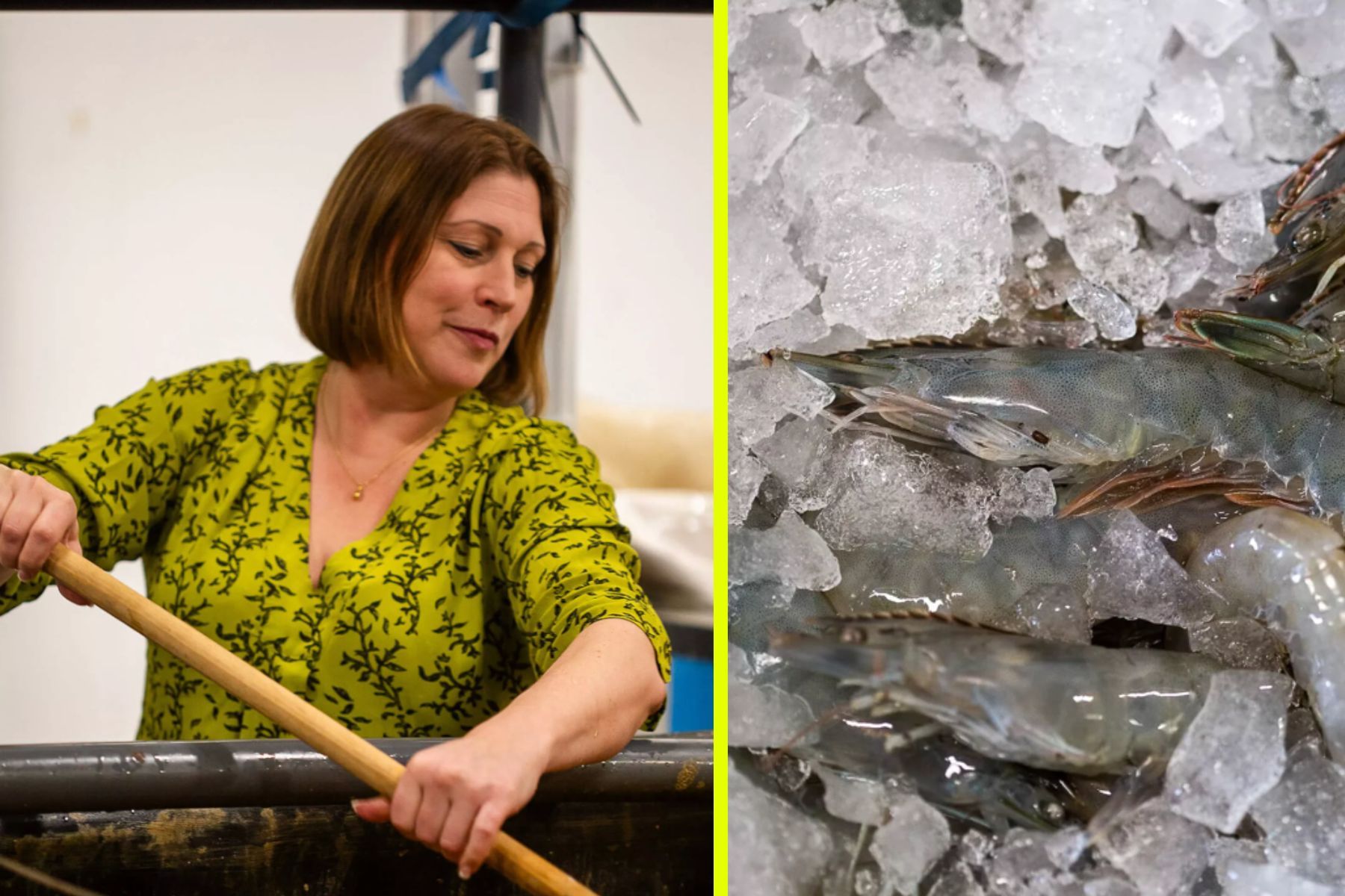 Matilda Olstorpe, vd och grundare av Håva. Foto: pressbilder.