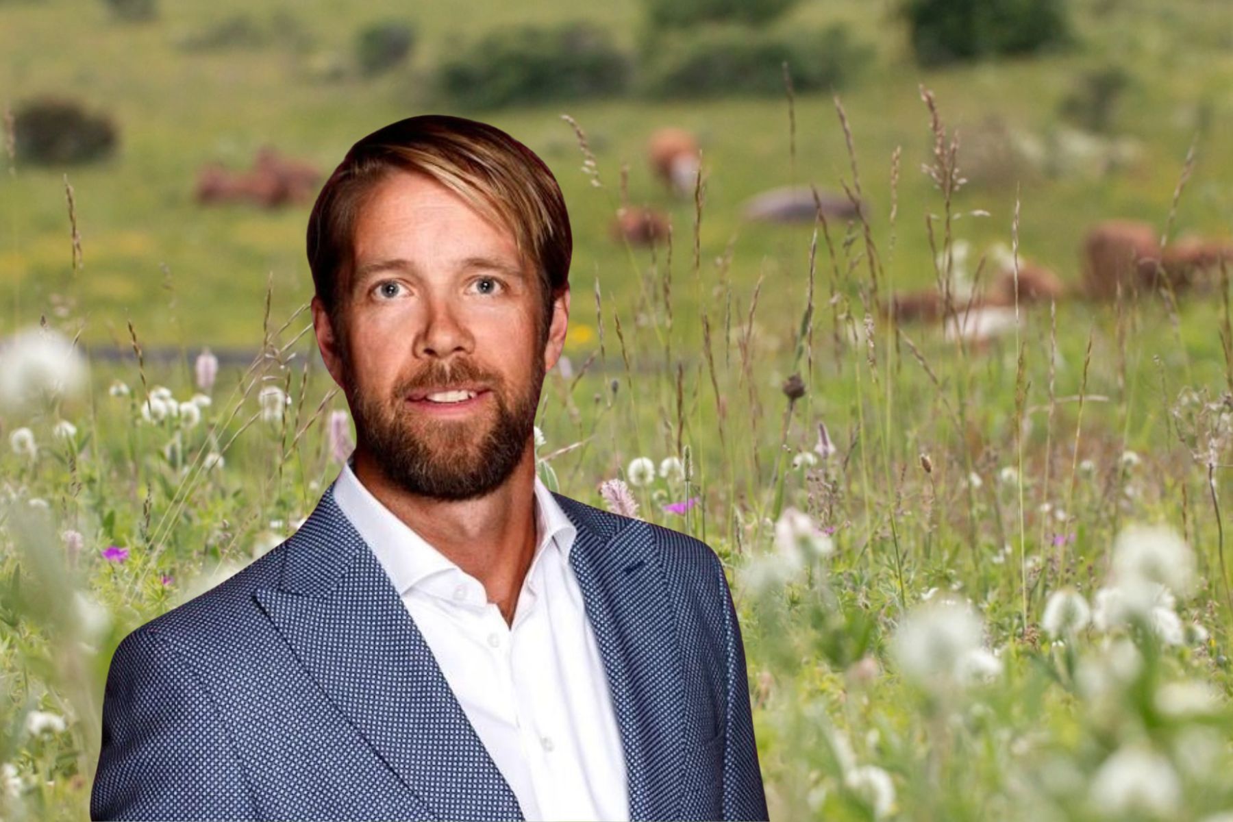 Jörgen Bodin, chef för Almi Invest Greentech. Foto: pressbild / Frida Nettelbladt, Calluna.