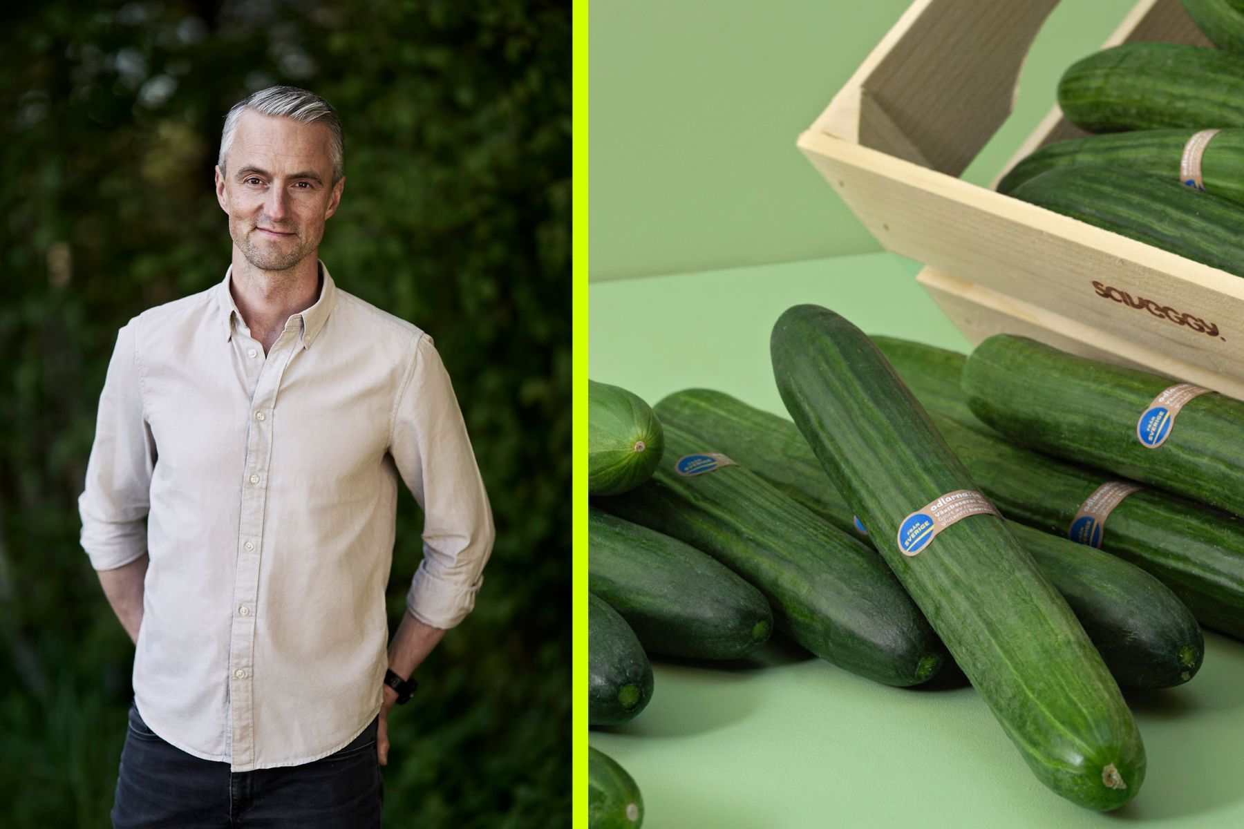 Martin Alexandersson. Foto: pressbilder.