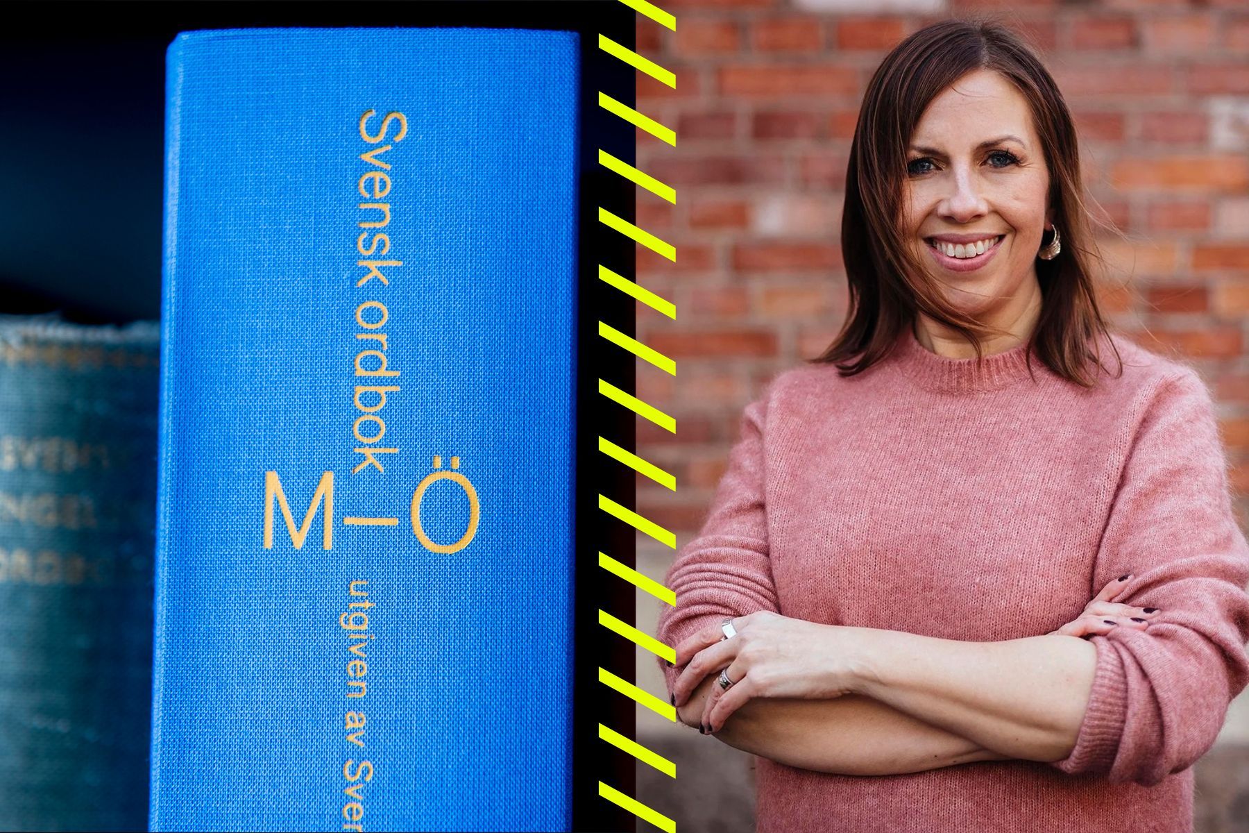 Maria Soxbo vill uppdatera definitionen av begagnat. Foto: TT Bild, pressbild.