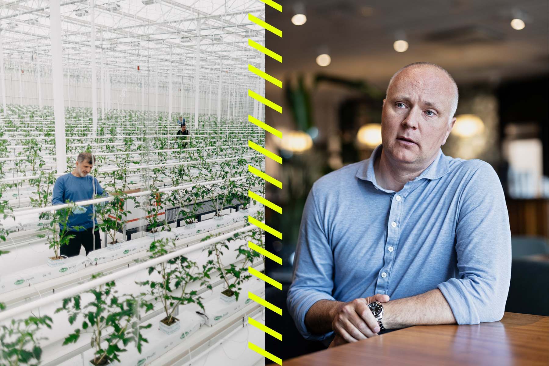 Fredrik Indebetou. Foto: pressbild.