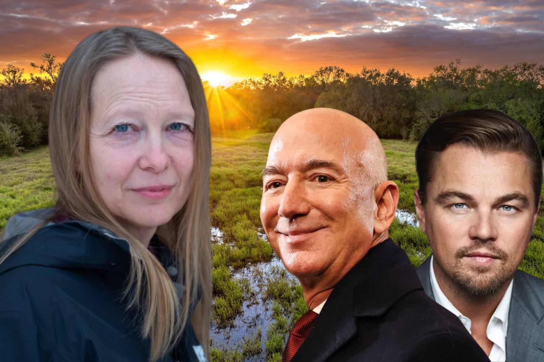 Ankin Ljungman, Jeff Bezos och Leonardo DiCaprio. Foto: Pressbilder / Canva (montage).