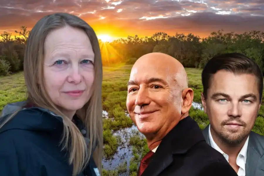 Ankin Ljungman, Jeff Bezos och Leonardo DiCaprio. Foto: Pressbilder / Canva (montage).