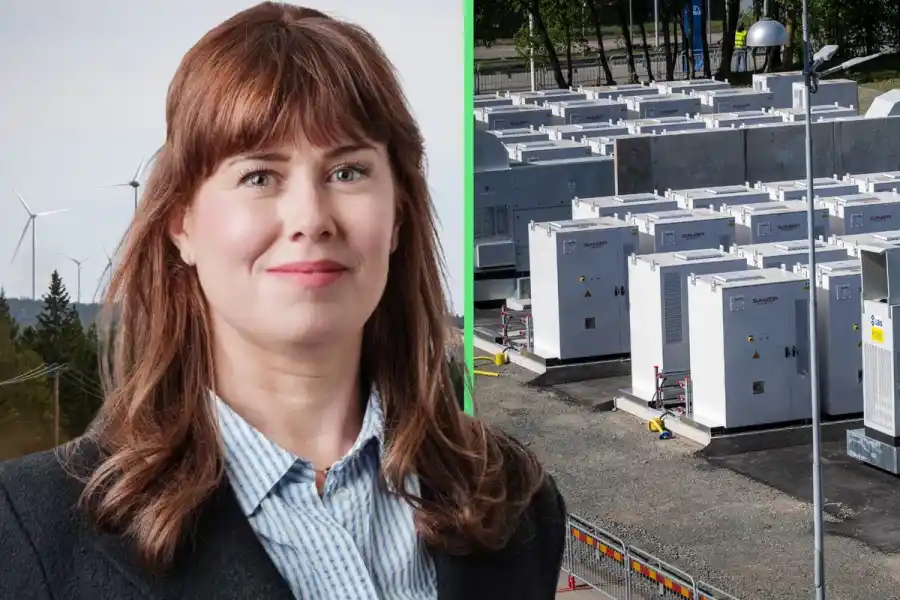 Madeleine van der Veer. Foto: Pressbild/TT. Montage.