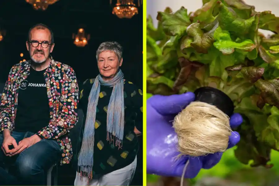 Thomas Bjelkeman-Pettersson, medgrundare och vd och Anke Johanna van Lenteren, medgrundare och odlingschef. Foto: Loïc Sans / Maria Almgren.