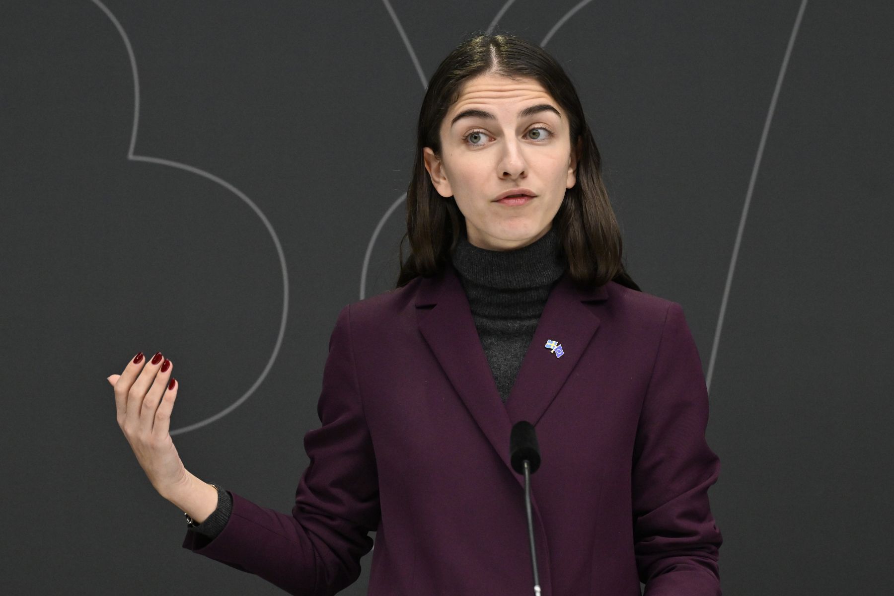 Klimat- och miljöminister Romina Pourmokhtari (L). Foto: Jonas Ekströmer / TT.