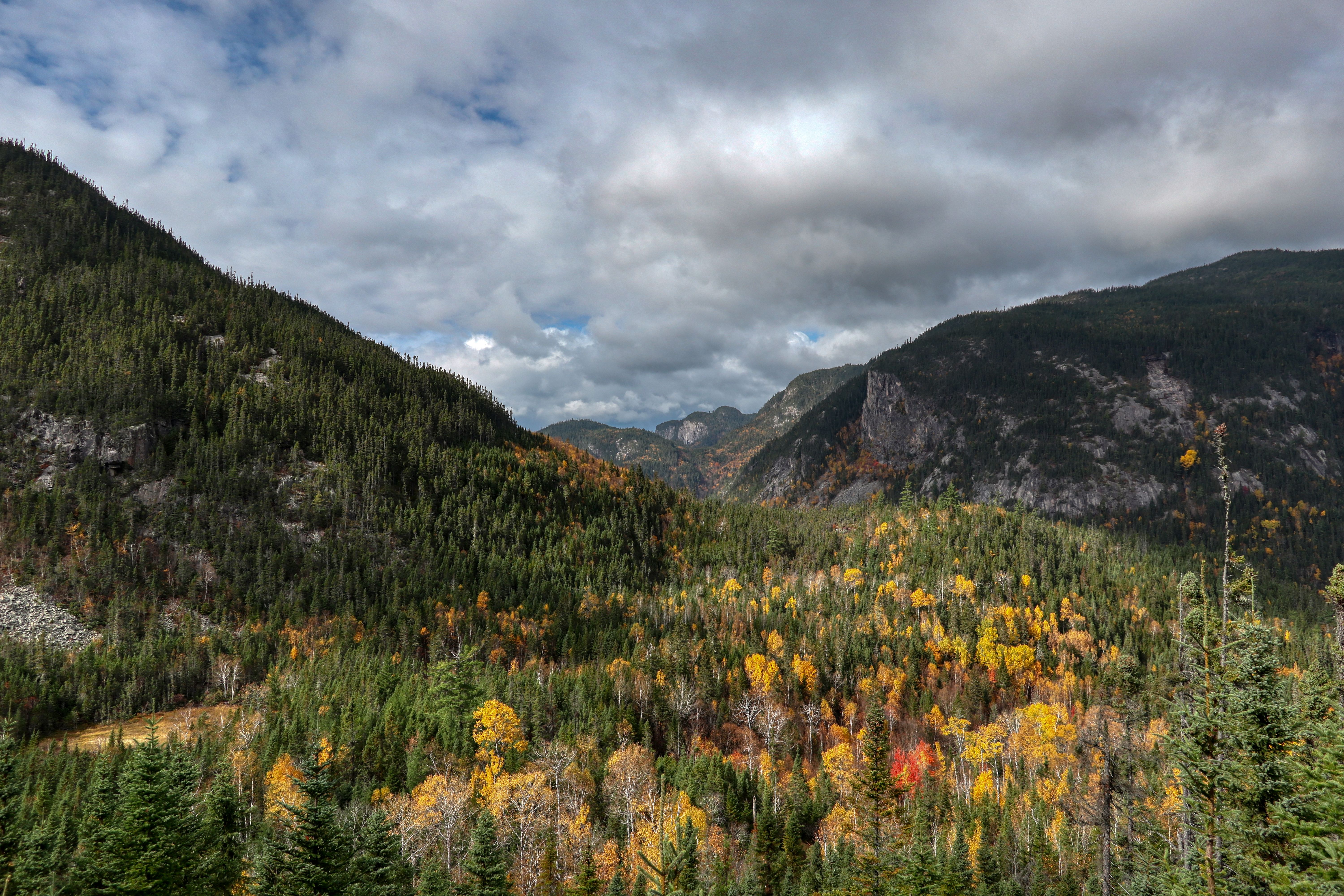 Chaine de montagnes du parc national des Hautes-Gorges, Québec, Canada