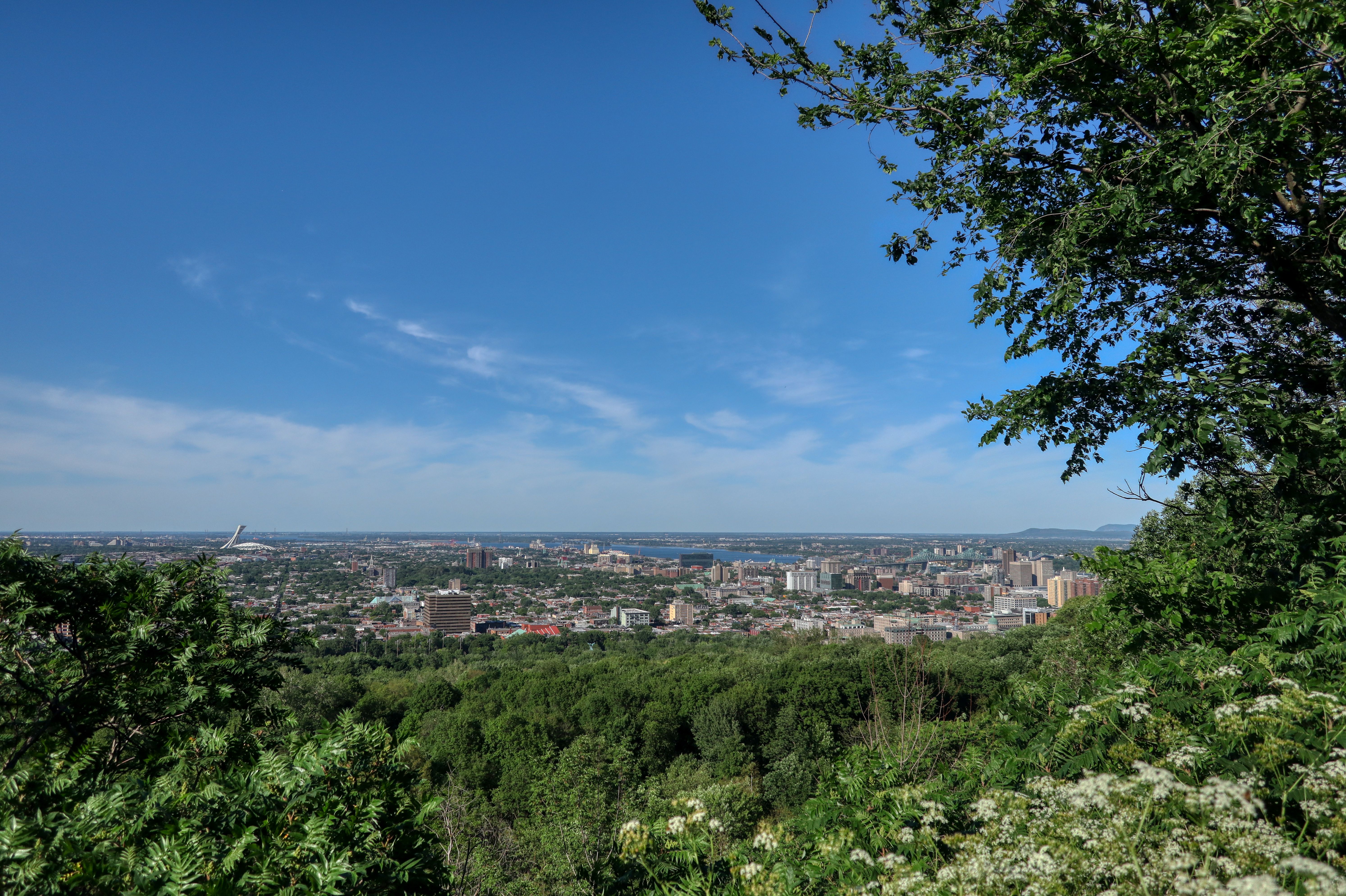 Montréal vu du Mont-Royal