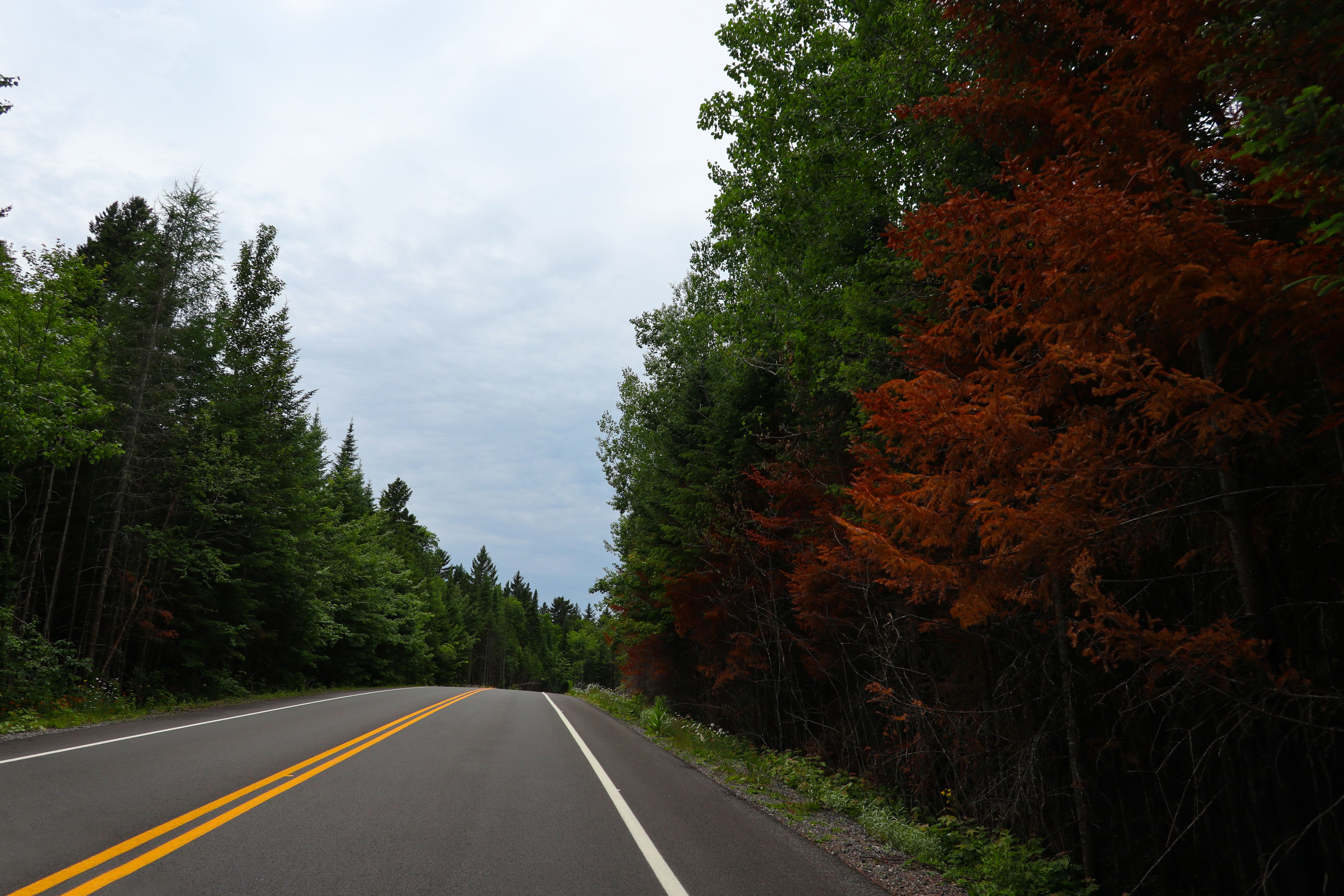 Route de Mauricie