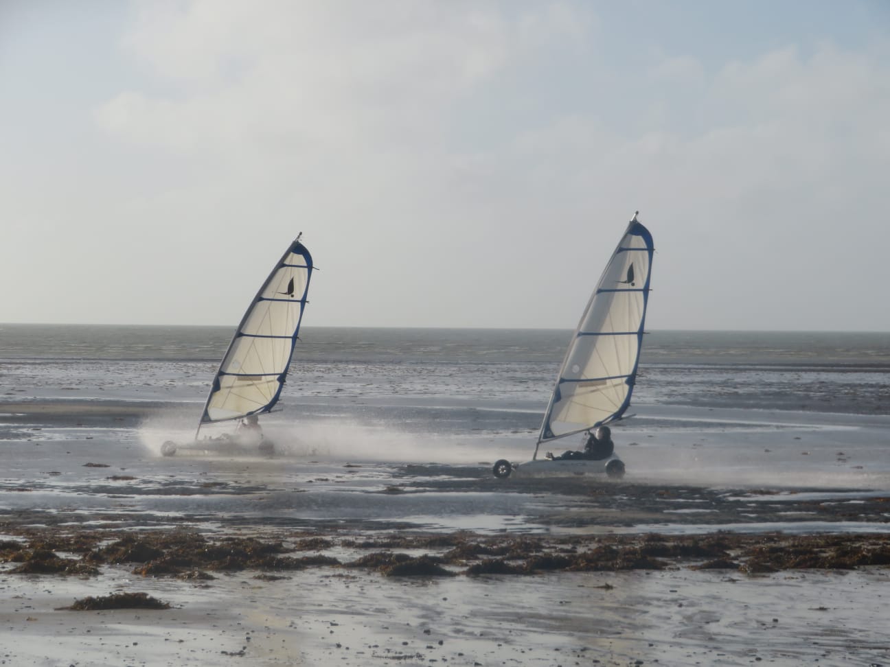 Char à voile