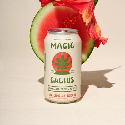 WATERMELON HIBISCUS*