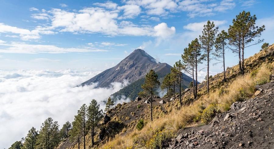 Cadenas volcánicas guatemaltecas: el Volcán de Fuego como cono perfecto emergiendo sobre nubes desde la perspectiva de laderas altas del Acatenango, con pinos y pastizal volcánico en primer plano (imagen generada a partir de referencia de vista clásica del trekking).