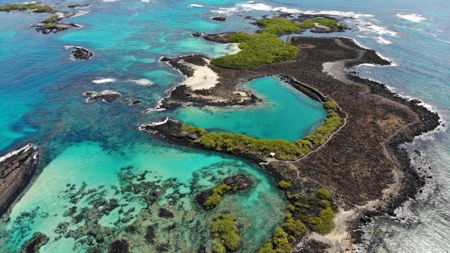 Galapagos