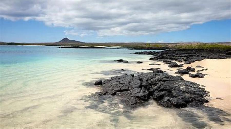 Galapagos