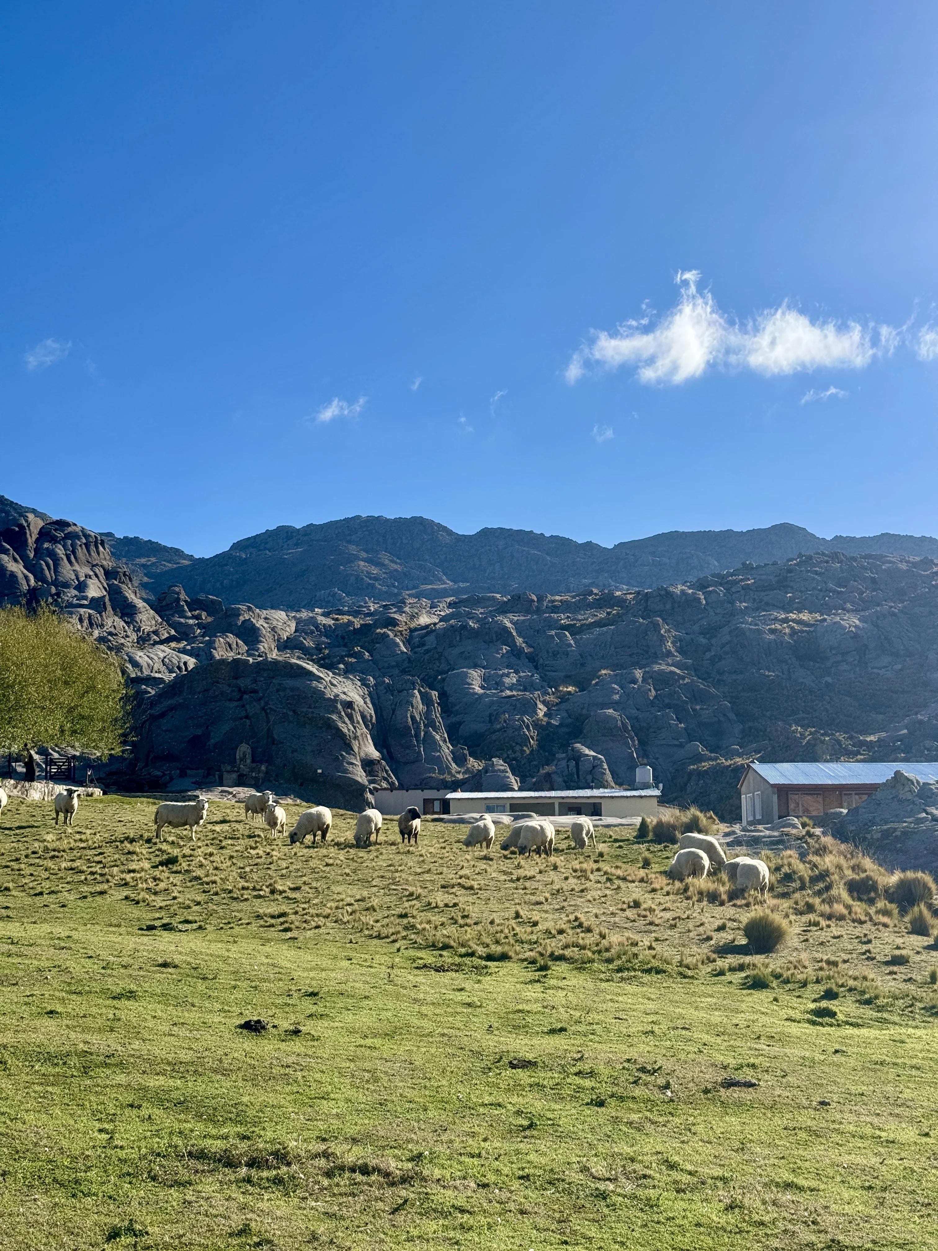 Trekking al Cerro Champaquí | Mayo 2026 | Salida 204