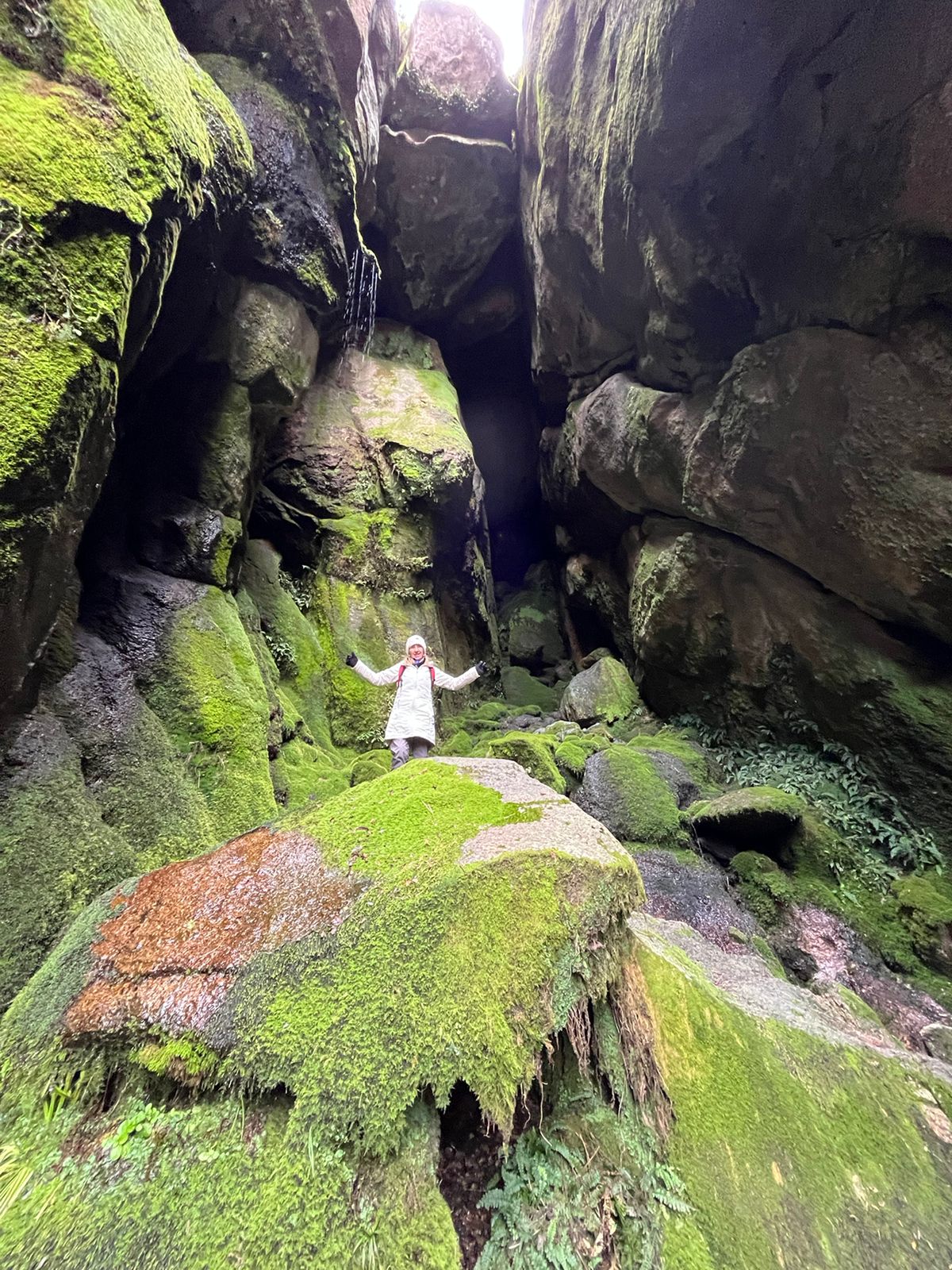 Trekking en Los Gigantes - Junio 2023 | Salida 124