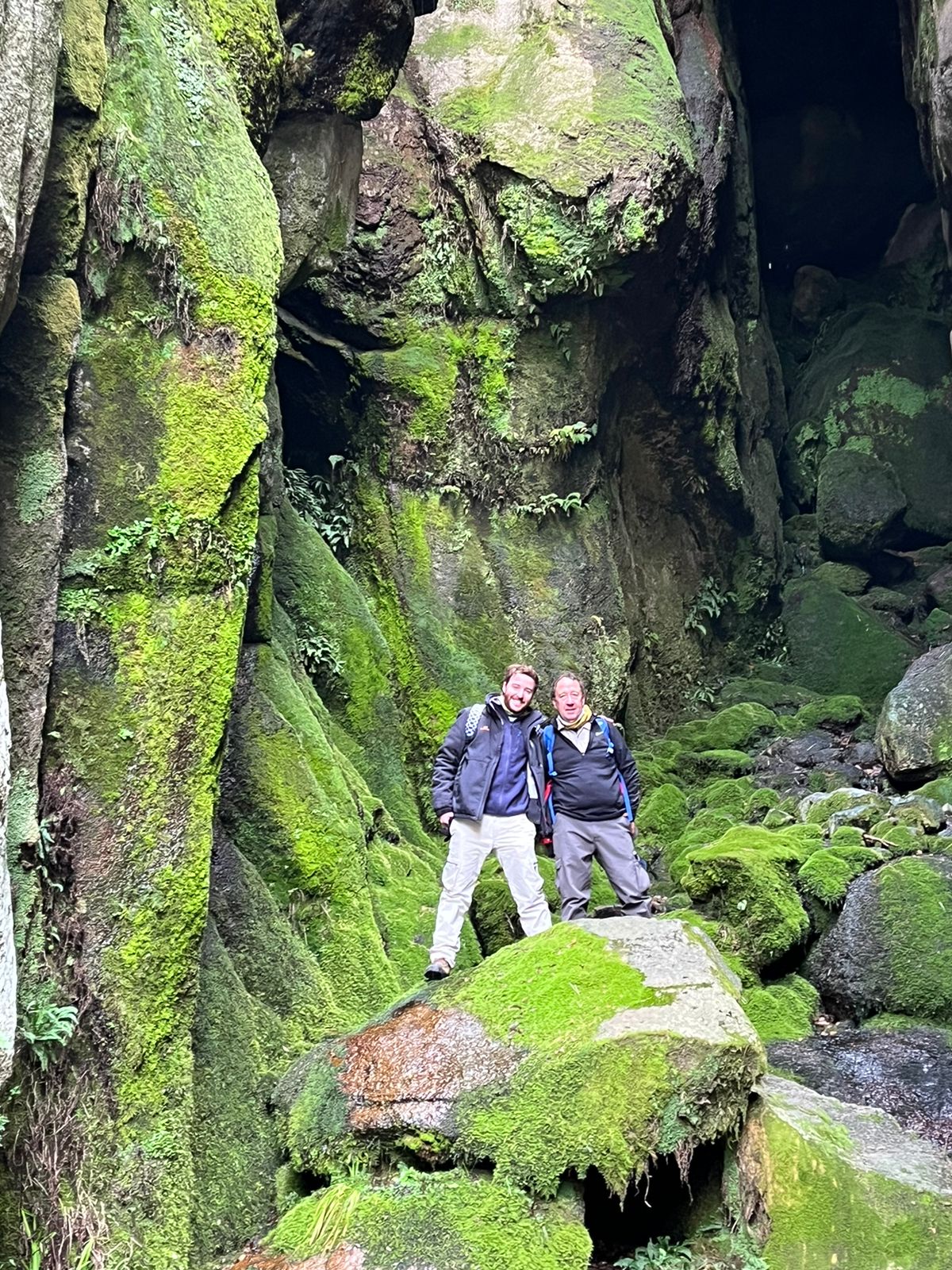 Trekking en Los Gigantes - Junio 2023 | Salida 124