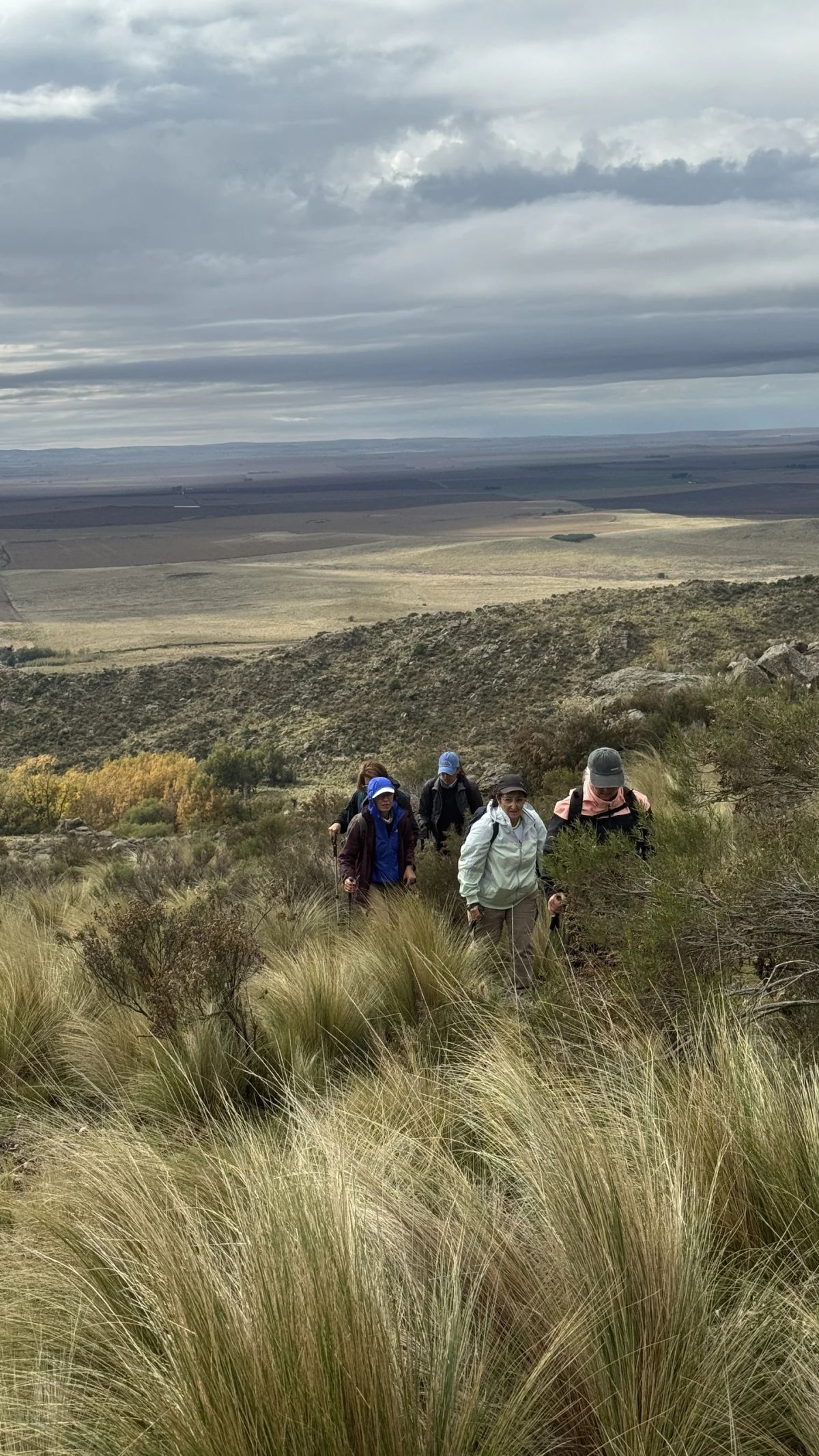 El grupo subiendo entre la paja brava en la ladera del volcán extinto