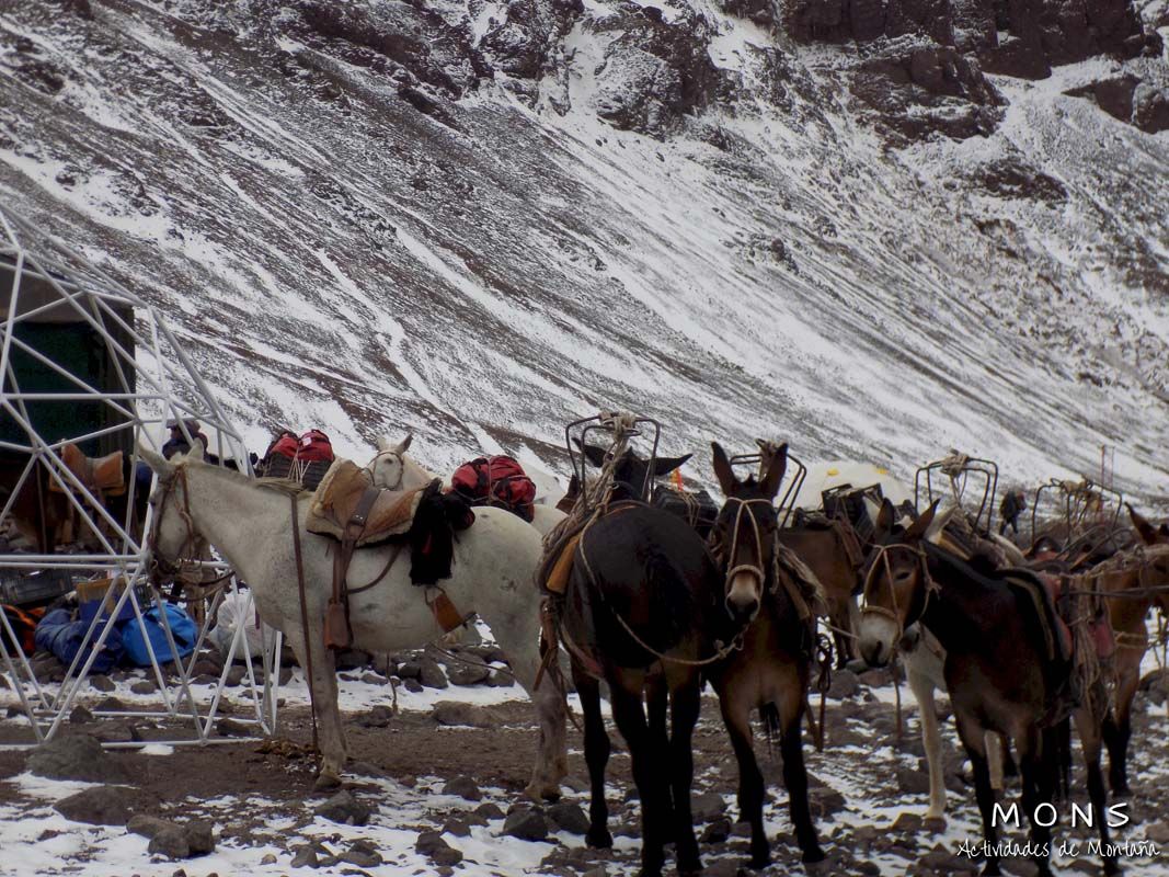 Aconcagua - Enero 2018 | Salida 03