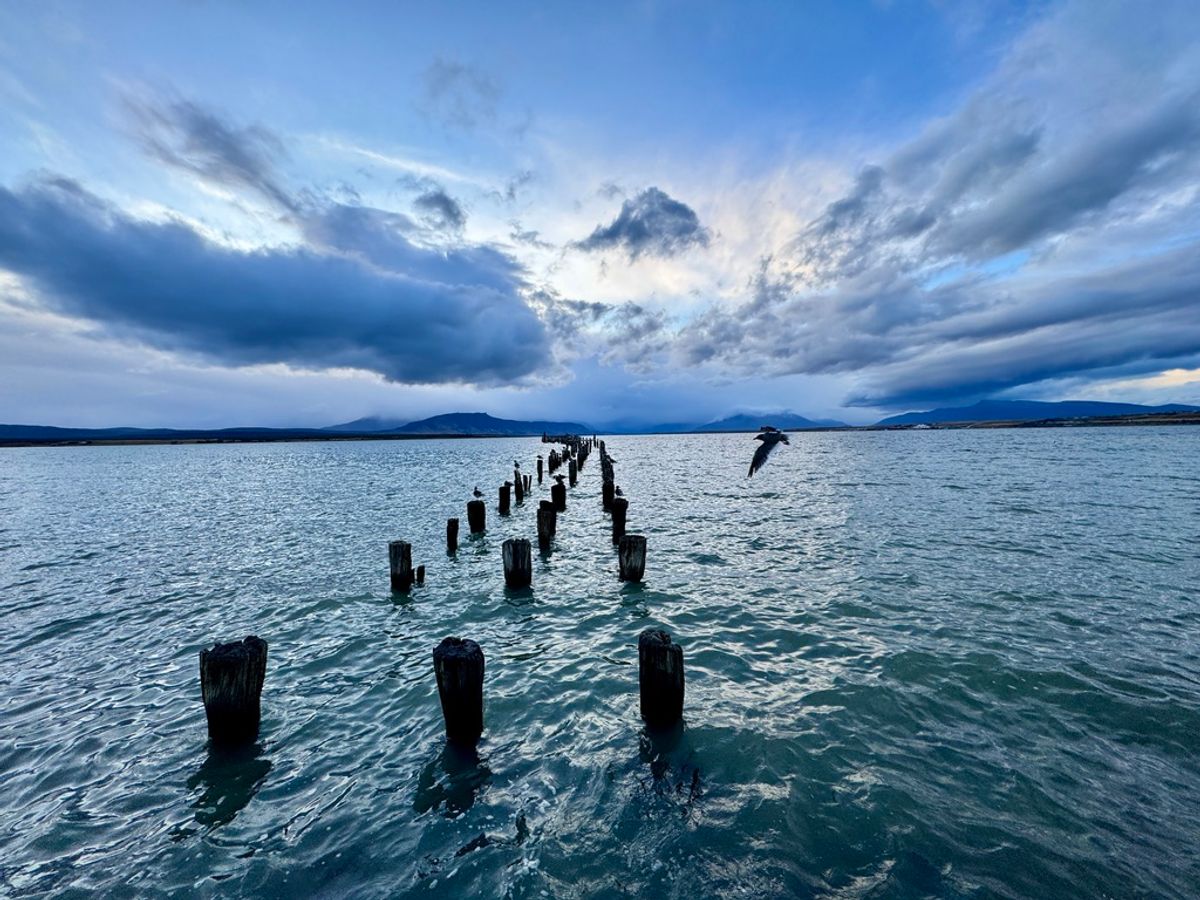 Meeting in Puerto Natales