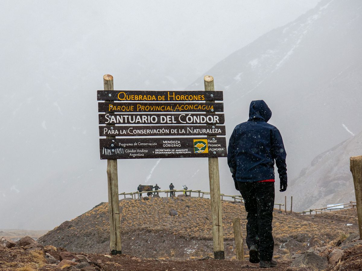 Expedición al Cº Peñas Coloradas - Agosto 2021 | Salida 66