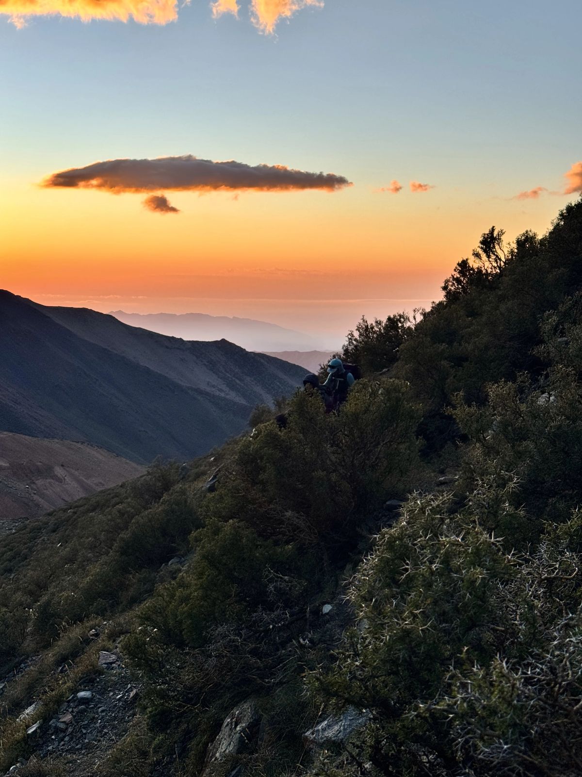 Cerro del Medio - Marzo 2025 | Salida 174