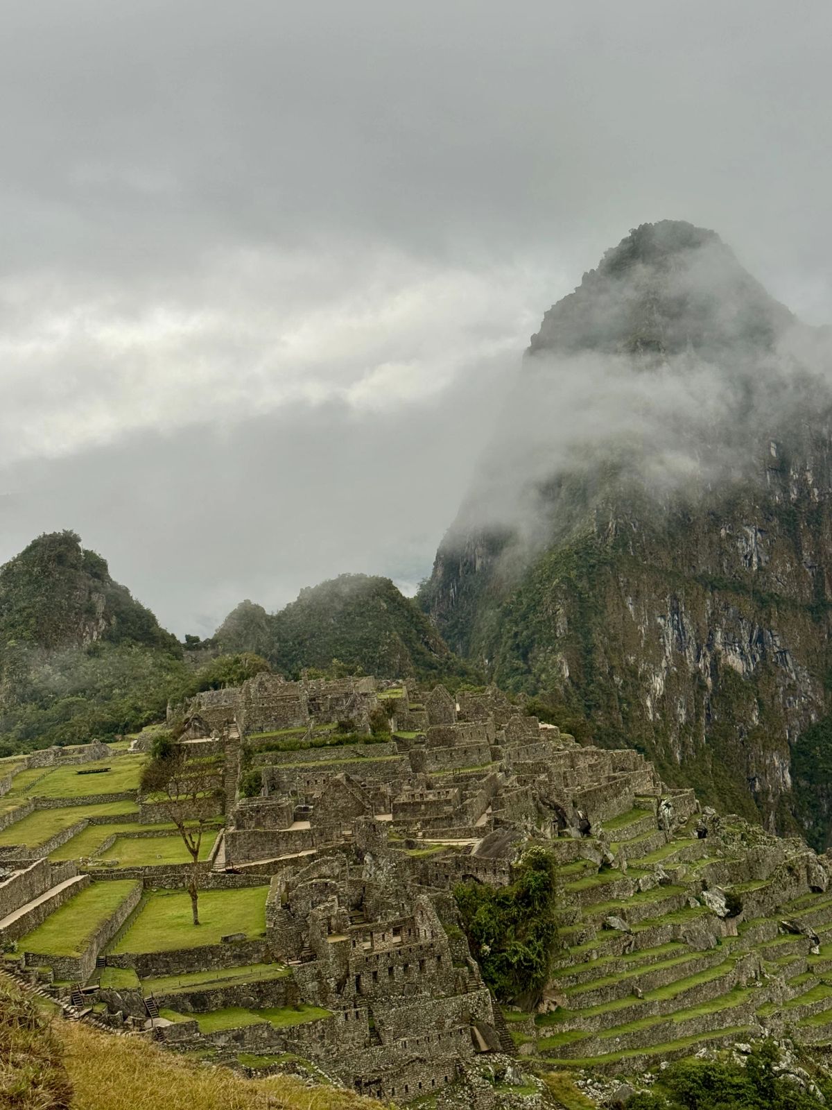 La ciudadela de Machu Picchu entre la niebla al final del trekking de Salkantay