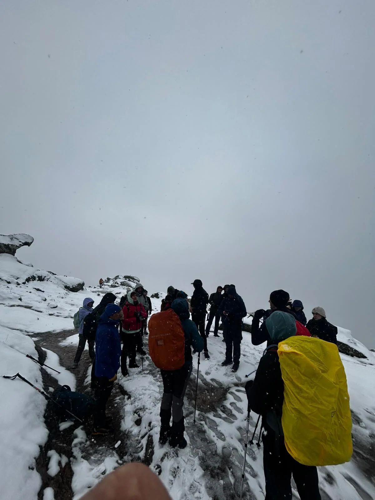 Trekkers con mochilas y cubremochilas avanzando entre la niebla y la nieve