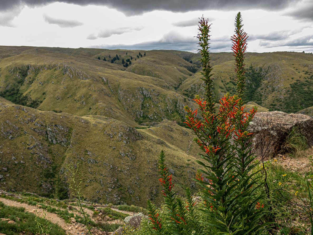 Trekking a Pueblo Escondido y Cerro Áspero- Enero 2021 | Salida 45