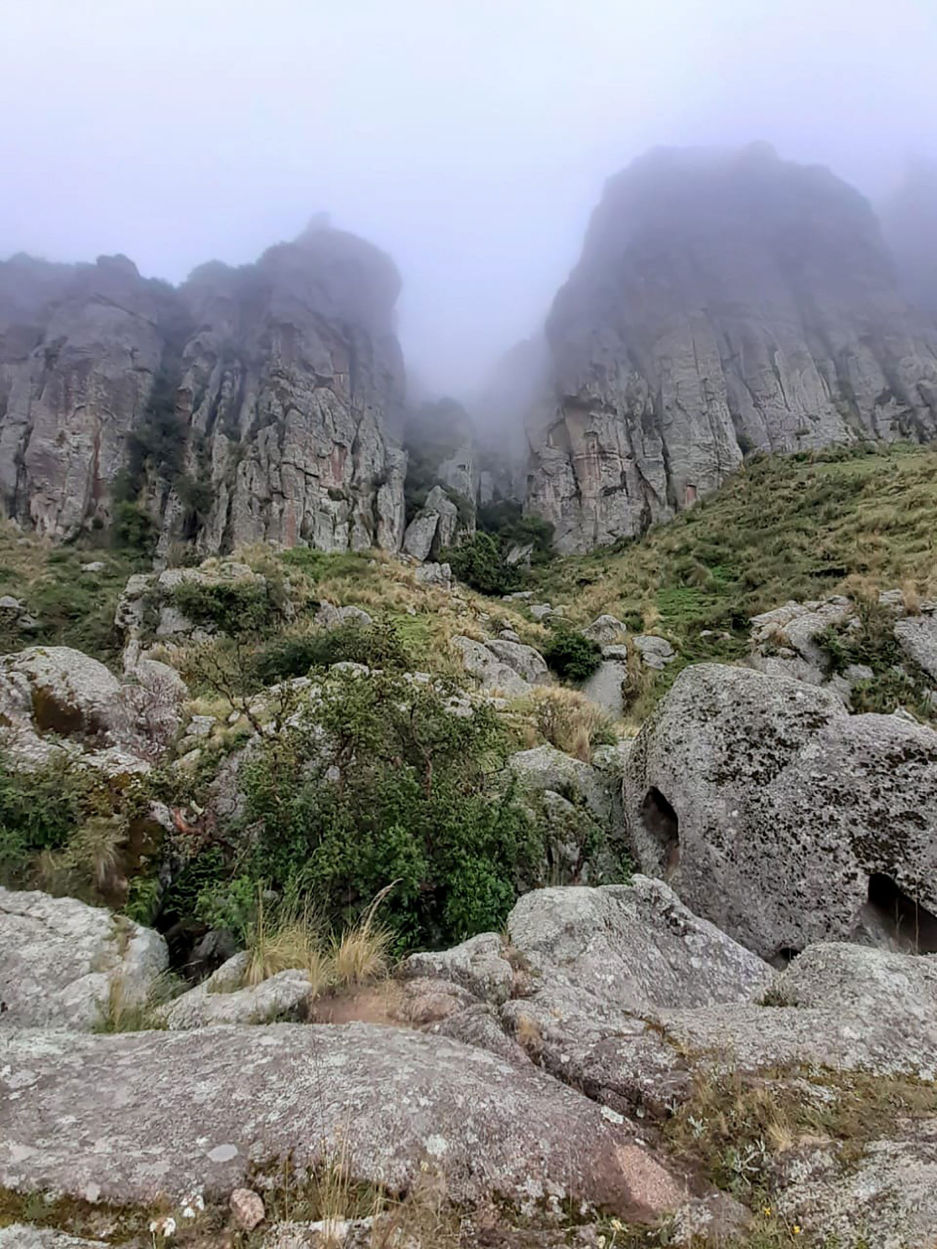 Trekking a Los Gigantes - Febrero 2021 | Salida 51
