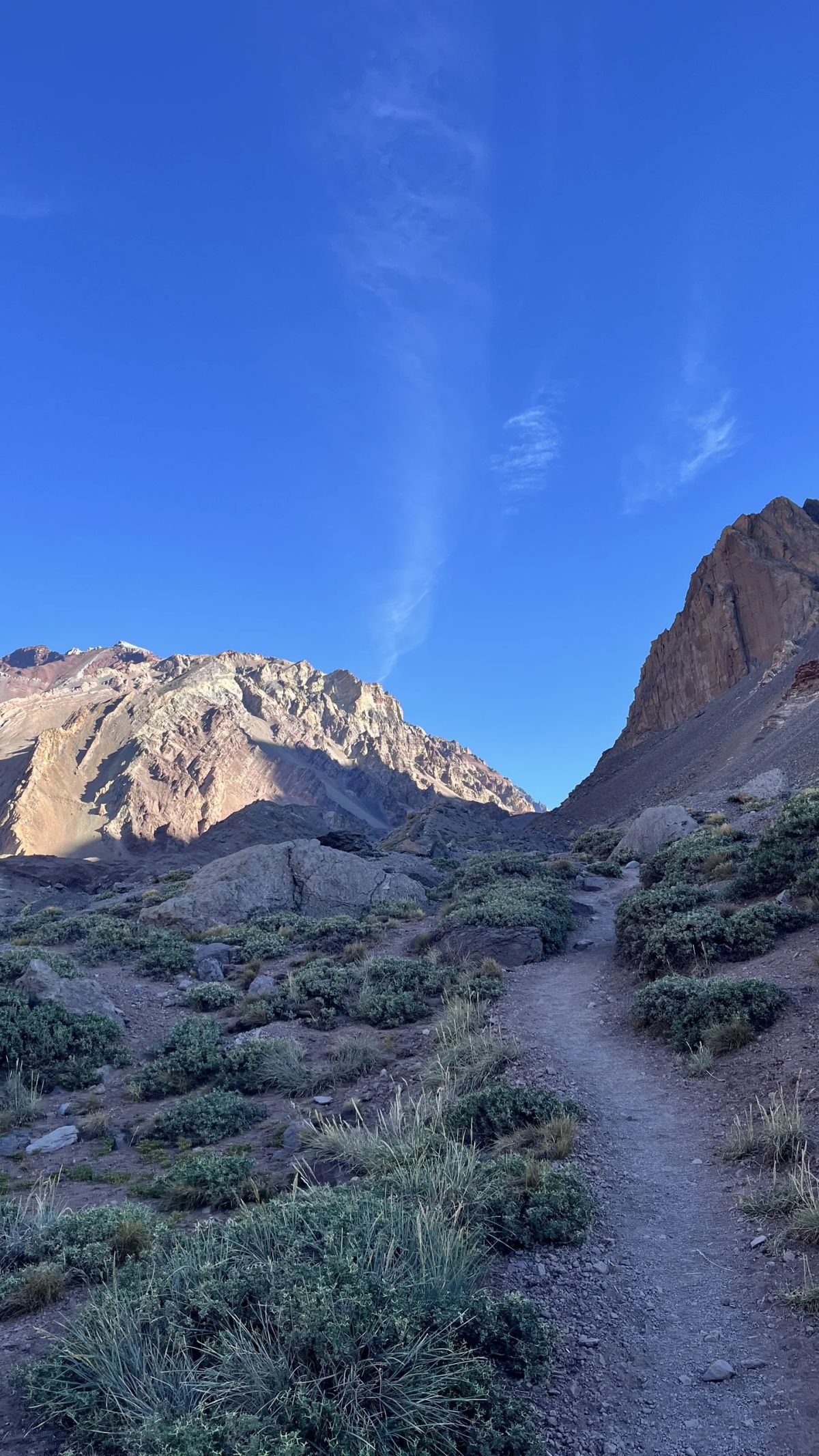 Sendero entre la vegetación de altura del valle camino a Plaza Francia