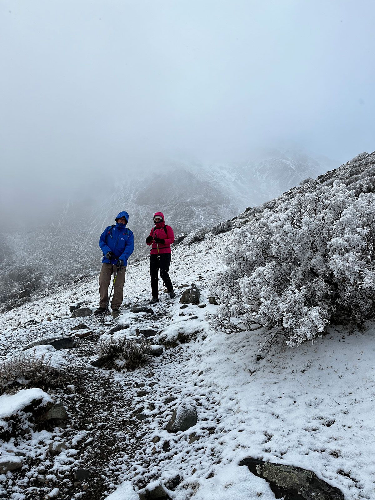 Expedición Cerros Adolfo Calle y Stepanek - Octubre 2022 | Salida 108