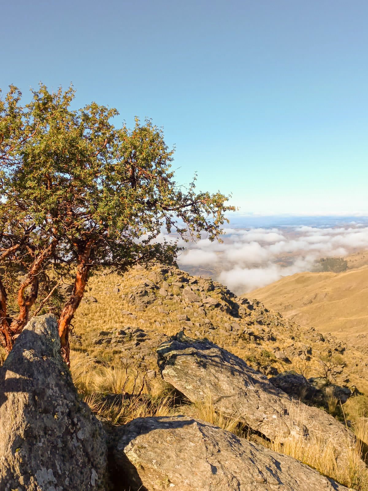 Ascenso al Cerro Champaquí - Mayo 2023 | Salida 122